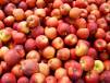 iStock_000000725907Small.jpg