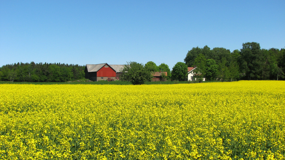 iStock_000001724517Small.jpg