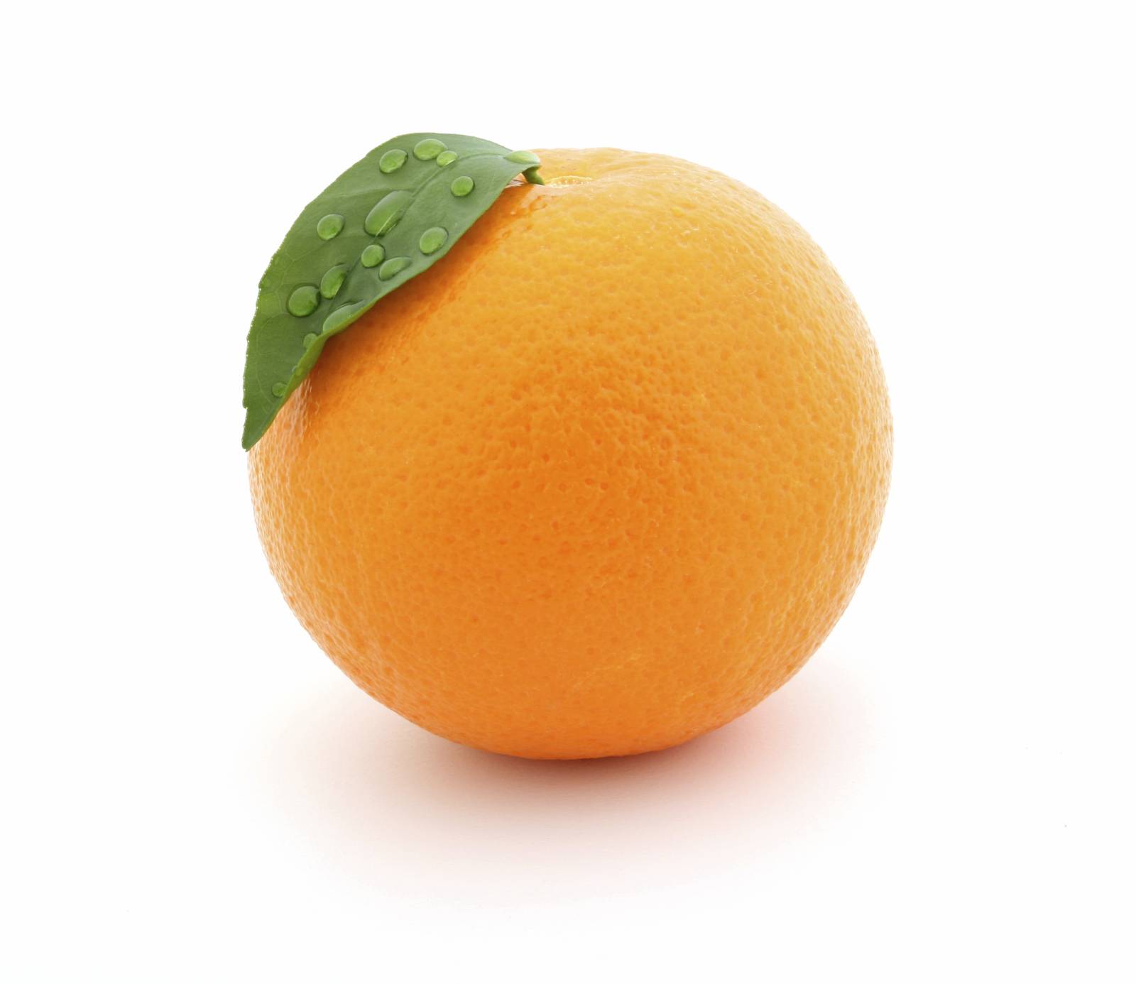 iStock_000002879309Medium.jpg